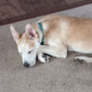 Meet your Posher, Parker